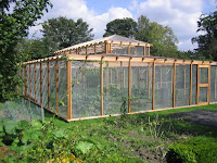 Garden Protection From Birds