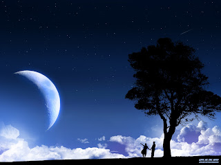 moon  widescreen desktop wallpaper