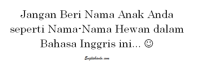  Nama  Nama  Hewan  dalam  Bahasa  Inggris 