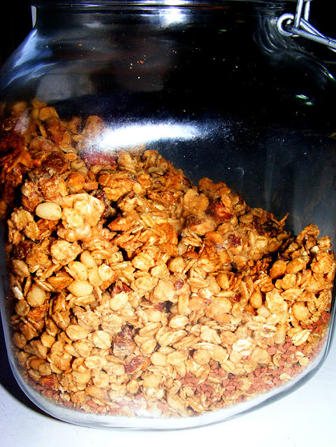 Homemade granola. Photo by Loire Valley Time Travel.