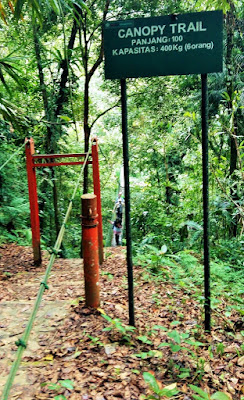 Hutan yang memiliki Canopy Trail Pertama