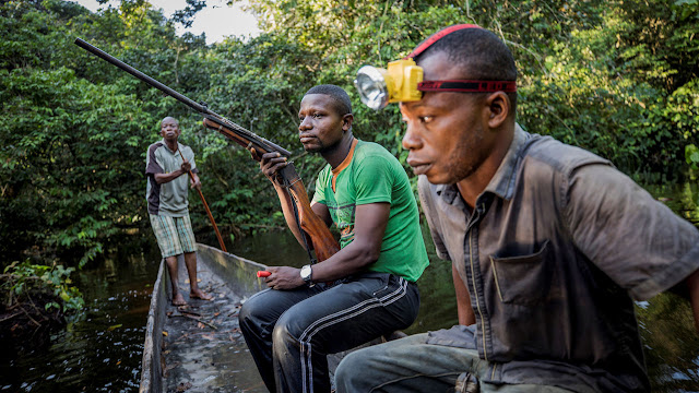 Trois hommes équipés d'une lampe frontale à diodes électroluminescentes voyagent pour un voyage de chasse nocturne dans la forêt tropicale du Congo. REUTERS / THOMAS NICOLON