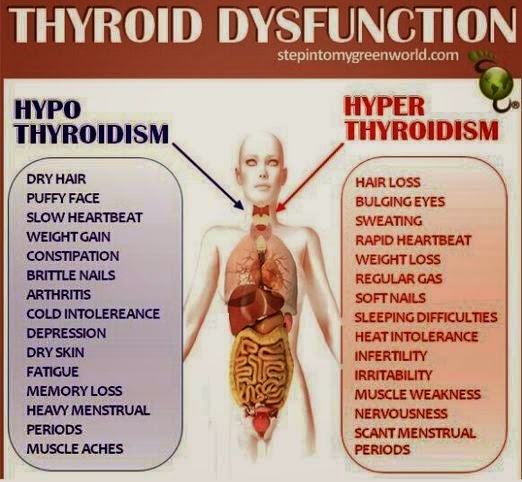 Pengedar Shaklee Kedah, Penang dan Perak: SET THYROID @ TIRIOD