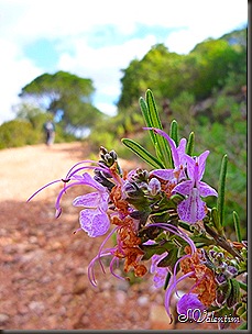 P1140320