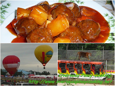 Sweet and Sour Meatballs, The Clark and Zoobic Adventure