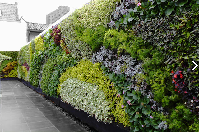 Jardines Verticales. Reduciendo el Dióxido de Carbono.