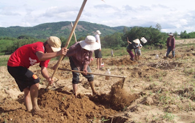 Nằm mơ thấy đất đai đánh con gì? Giải mã giấc mơ thấy đất