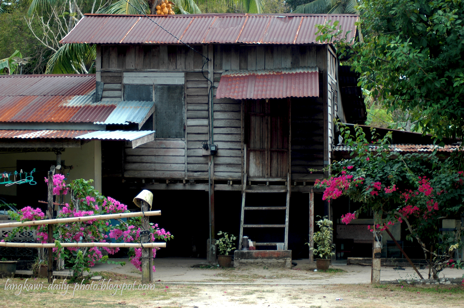 Foto Rumah  Kampung Tercantik  Blog Images