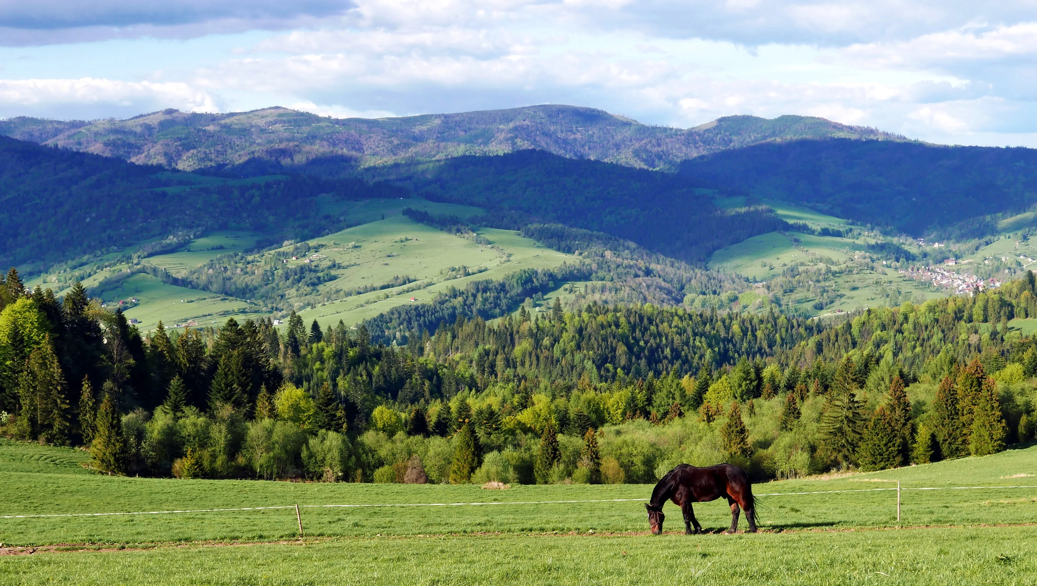 Pieniny Wysoki Wierch. Wysoki Wierch szlak ze Szlachtowej. Najpiękniejsze widoki w Pieninach. Panoramy Pieniny. Szlaki turystyczne w Pieninach.