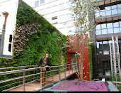 #8 Vertical Garden Design Ideas