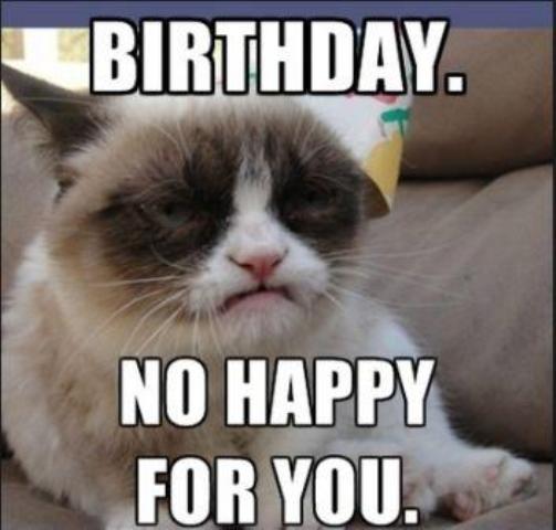 Hilarious Happy Birthday Dog Meme