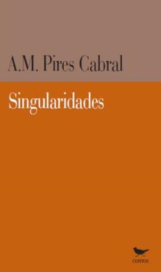 A. M. Pires Cabral