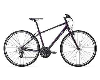 Stolen Bicyle - Giant Alight 3