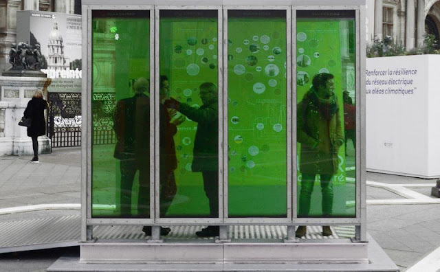 Microalgae glass panels