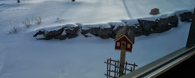 Bird house in the snow in garden