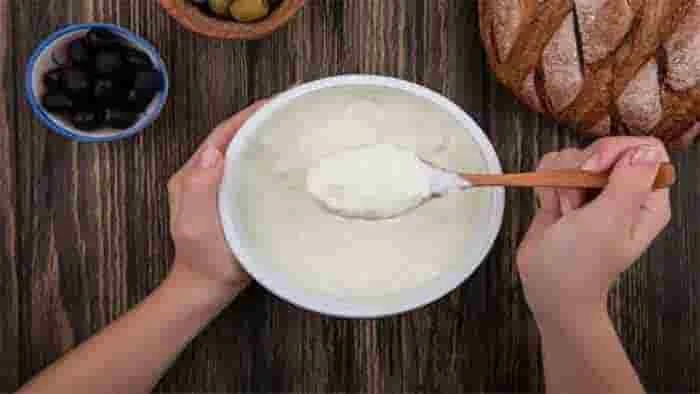 Curd: How This Quintessential Ingredient Turned Into A Superfood, National, News, Newdelhi, Top-Headlines, Food, Health, Recipe.