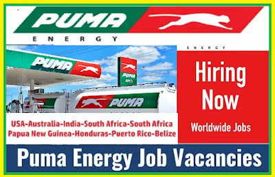 Puma Energy Jobs Ghana, S.Africa, P.N.Guinea, Mozambique, Zimbabwe, Namibia, Congo