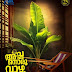 " അച്ഛനൊരു വാഴ വെച്ചു " . സംവിധാനം : സാന്ദീപ് , നിർമ്മാണം :ഡോ. എ.വി അനൂപ് , രചന : മനു ഗോപാൽ . 