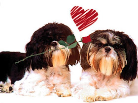 Wallpaper Hati, Heart Wallpaper - Gambar Love @ DIGALERI.com