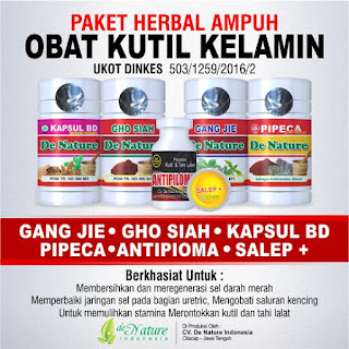 OBAT VIRUS HPV DAN KUTIL KELAMIN