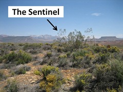 The Sentinel Caption
