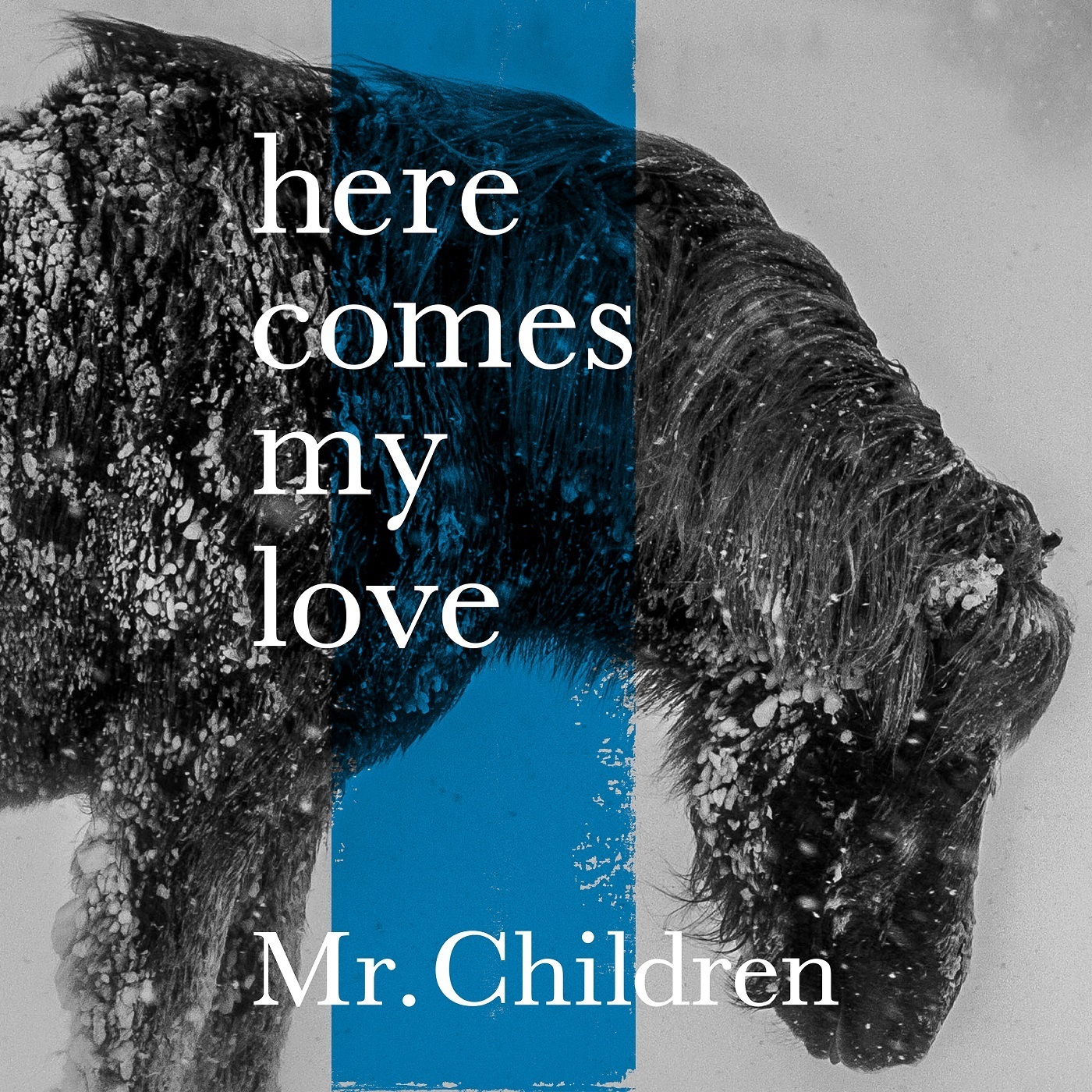 Mr Children Here Comes My Love レビュー 名盤ライブラリ