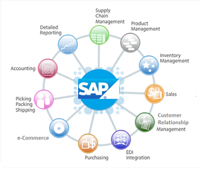 best sap training