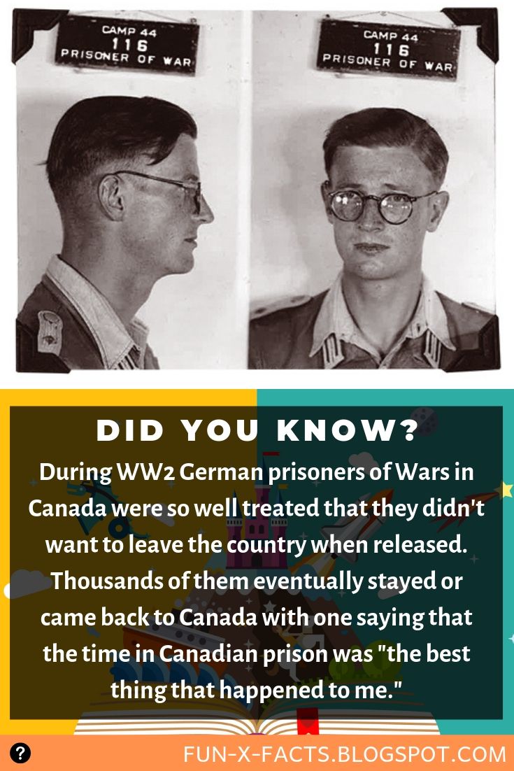 Interesting and weird fact about WW2