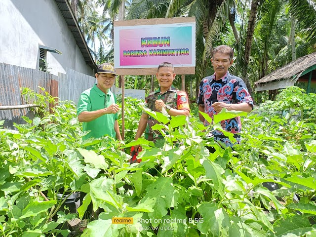 Dukung Ketahanan Pangan, Babinsa 1202-03/Sry Bersama Warga Panen Terong Ungu