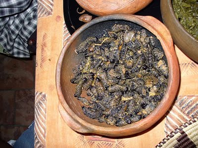 Makanan Unik Dan Ekstrim Menyeramkan Dari Afrika