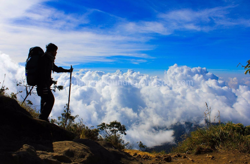 Mimpi Naik Basikal Turun Bukit