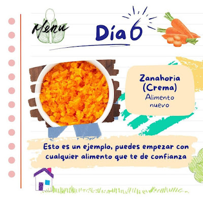 Alimento complementario 6, crema de zanahorias