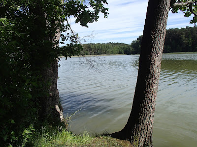 Mazury, żeglowanie po Mazurach, Jezioro Nidzkie, stanica wodna Czaple, Przylądek Wisielców