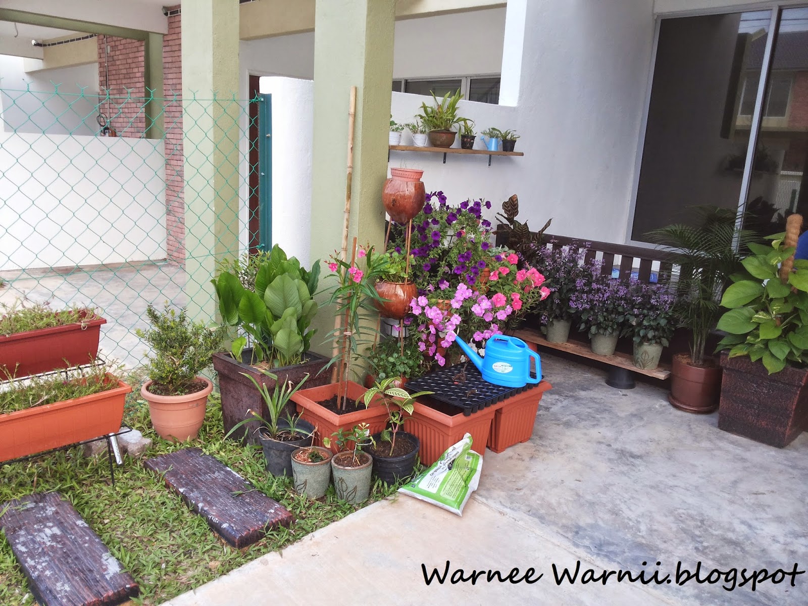 Warnee Warnii Pangkin ala ala dikampung Laman Rumah  