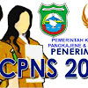 BKPPD Pangkep Umumkan Formasi CPNS 2018