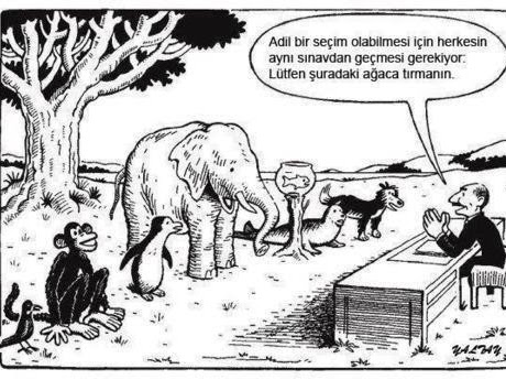 çocuklarımız ve eğitim sistemimiz...