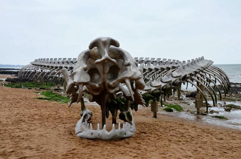 Serpent d’Océan | A Massive Metal Sea Serpent Skeleton on a Beach in France