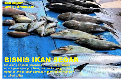 bisnis ikan segar