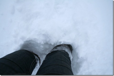 SnowDay-17