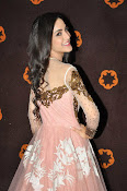 Kanika Kapoor glamorous photos-thumbnail-19