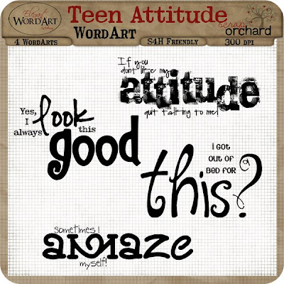 quotes about attitude. Attitude Quotes Images.