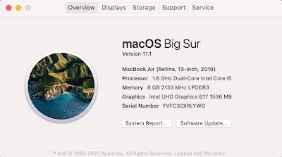 macos bigsur11.1