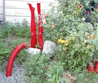 SAM_0322