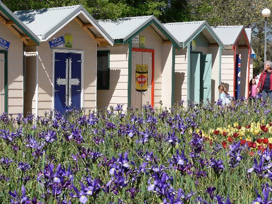 Garden Sheds