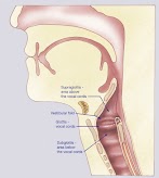 What Are The Symptoms Of Throat Cancer Nhs / Throat cancer symptoms and signs: Are you at risk? Watch ... - The larynx is part of the throat found at the entrance of the windpipe (trachea).