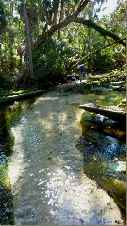 Chassahowitza River canoeing_062