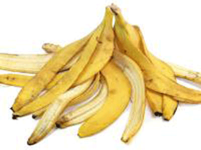 Mengenal manfaat cangkang kulit  pisang  sukacai