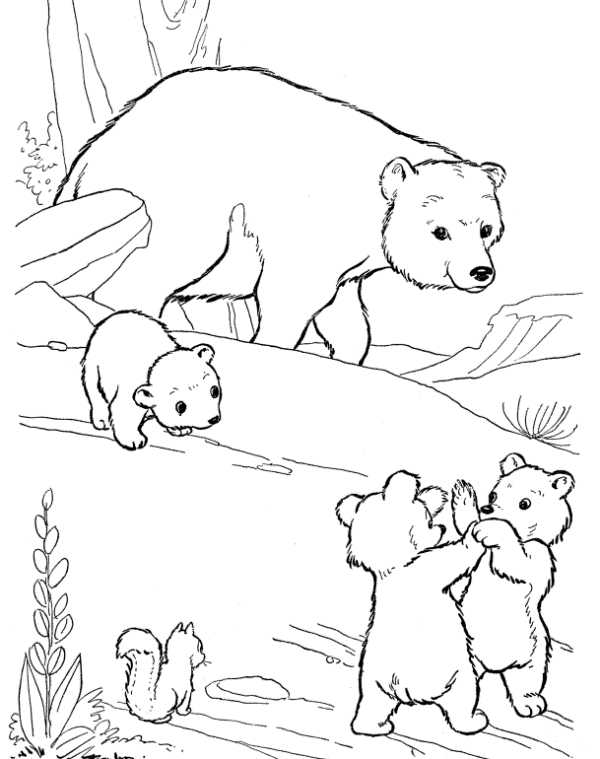 Belajar mewarnai gambar binatang untuk anak beruang yang 