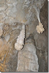 peppicture (154)
