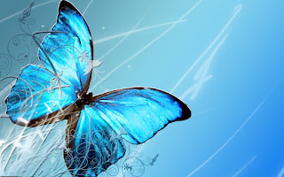 Wallpapers with Butterflies